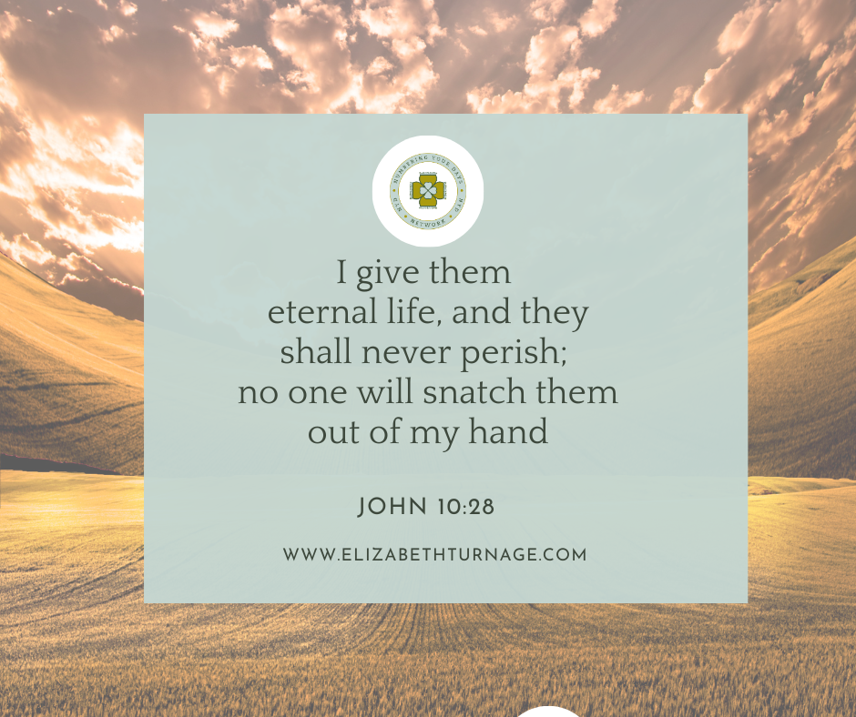 JOHN 10_28 I give them eternal life, and they shall never perish; no one will snatch them out of my hand. John 10:28