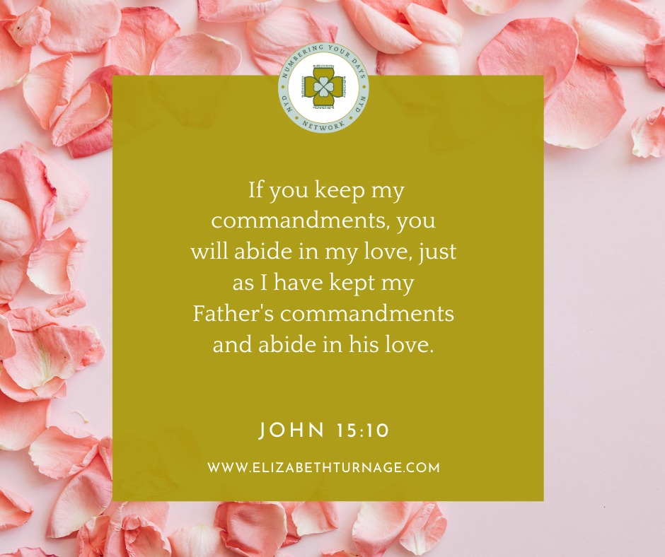 John 1510 If you keep my commandments, you will abide in my love, just as I have kept my Father's commandments and abide in his love. John 15:10