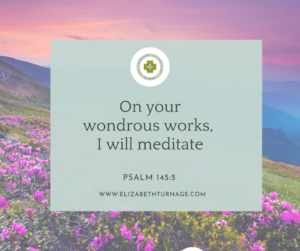 On your wondrous works, I will meditate. Psalm 145:5
