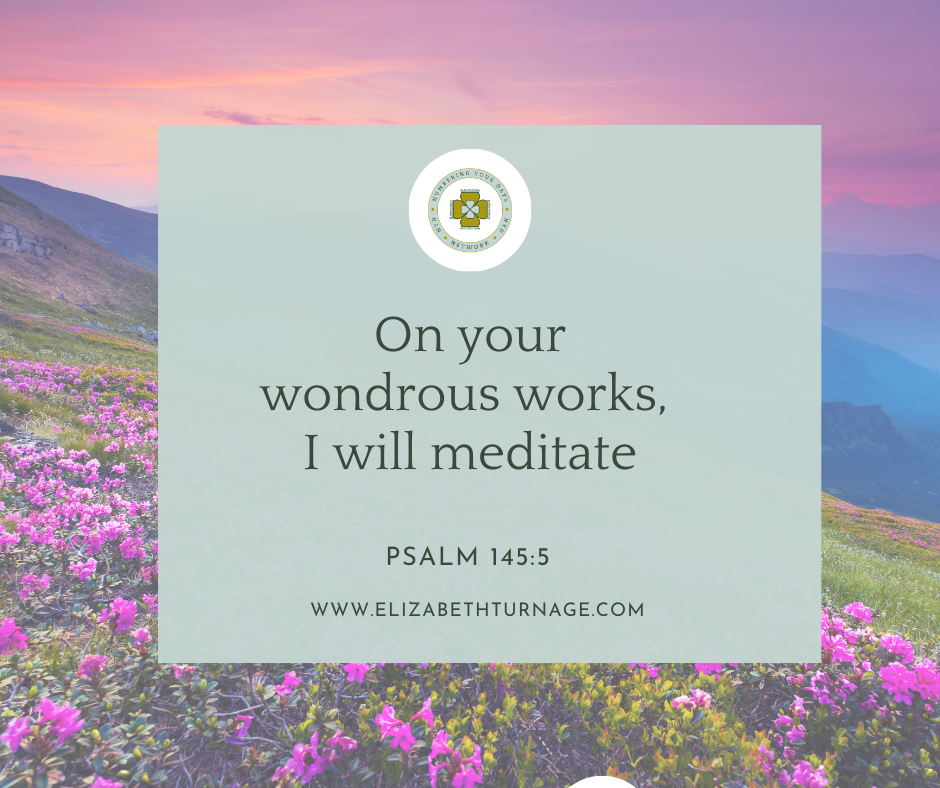 PS 1455 On your wondrous works, I will meditate. Psalm 145:5