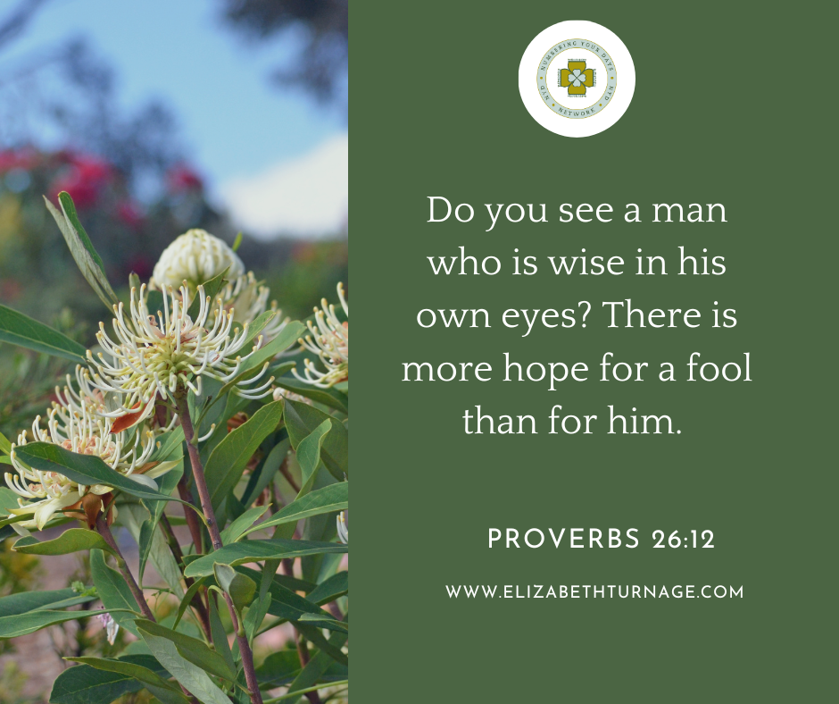 Proverbs 2612 Do you see a man who is wise in his own eyes? There is more hope for a fool than for him. Proverbs 26:12