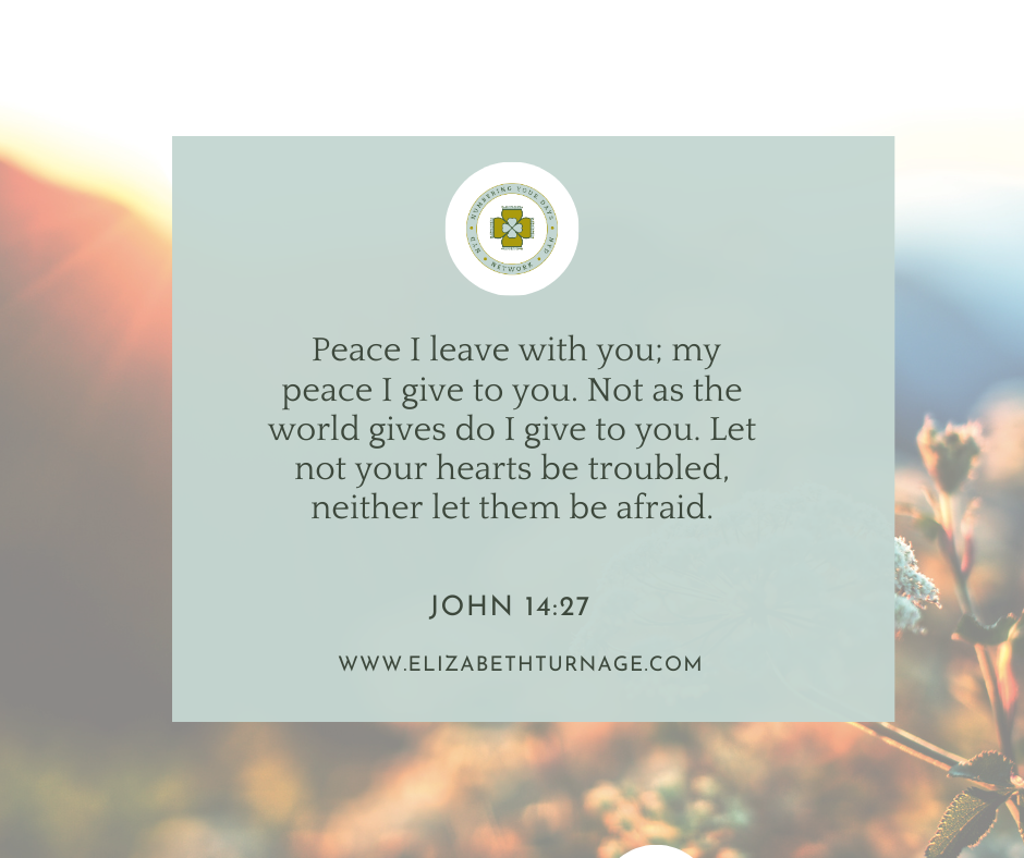 John 1427-2 Peace I leave with you; my peace I give to you. Not as the world gives do I give to you. Let not your hearts be troubled, neither let them be afraid. John 14:27