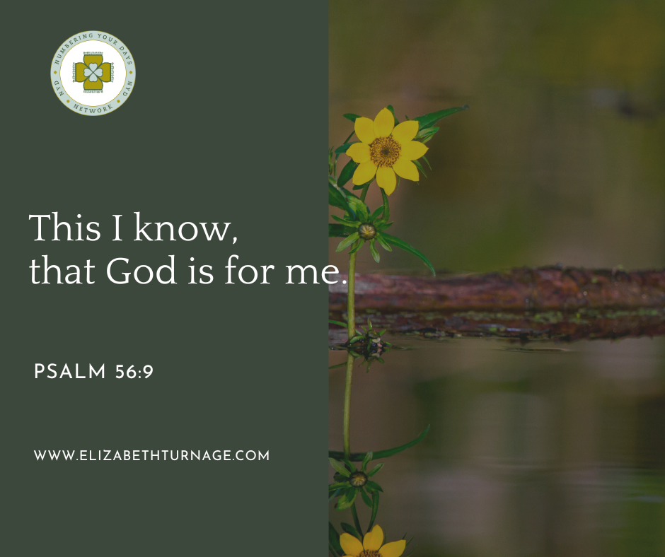 PSALM 569 This I know, that God is for me. Psalm 56:9