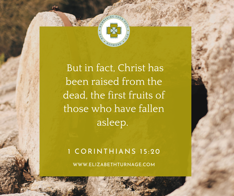 1 Corinthians 1520 But in fact, Christ has been raised from the dead, the first fruits of those who have fallen asleep. 1 Corinthians 15:20