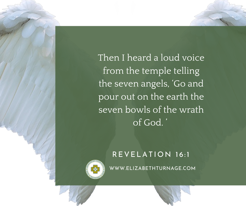 Revelation 161 Then I heard a loud voice from the temple telling the seven angels, ‘Go and pour out on the earth the seven bowls of the wrath of God. ’ Revelation 16:1