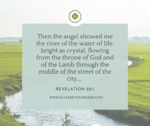 Then the angel showed me the river of the water of life, bright as crystal, flowing from the throne of God and of the Lamb through the middle of the street of the city…. Revelation 22:1
