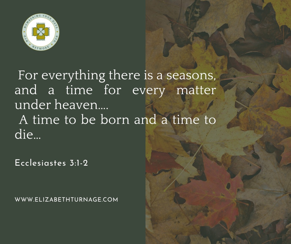 Daily Prayer Facebook Post (Landscape)) – Eccl 3:1-2 For everything there is a seasons, and a time for every matter under heaven…. A time to be born and a time to die…Ecclesiastes 3:1-2