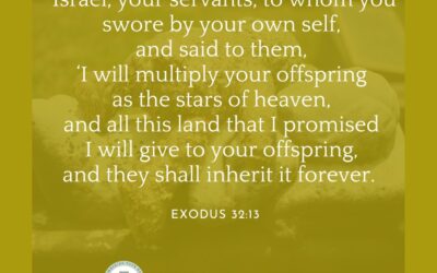 A Prayer about Praying God’s Promises Back to Him