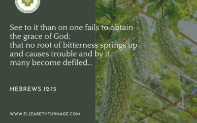 A Prayer about Preventing Bitterness