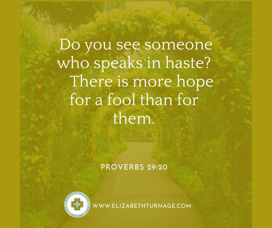 Daily Prayer Facebook Post (Landscape)) – Proverbs 29:20 Do you see someone who speaks in haste? There is more hope for a fool than for them. Proverbs 29:20