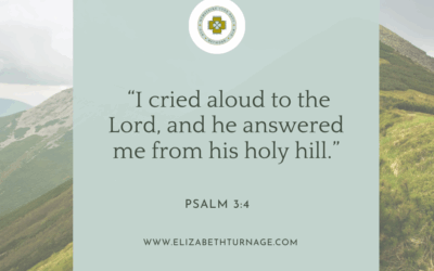 A Prayer about Where to Flee in Times of Trouble