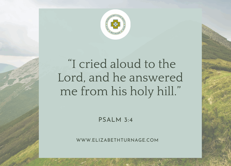 A Prayer about Where to Flee in Times of Trouble