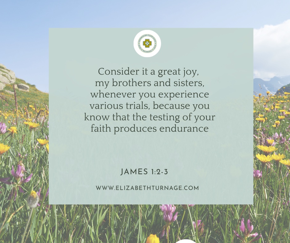 Daily Prayer Facebook Post (Landscape)) – James 1:2-3 Consider it a great joy, my brothers and sisters, whenever you experience various trials, because you know that the testing of your faith produces endurance. James 1:2-3