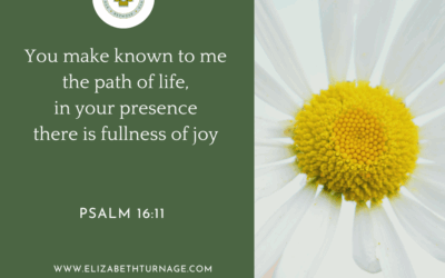 A Prayer about the Joy of God’s Presence