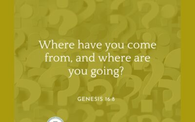 A Prayer about the Questions God Asks