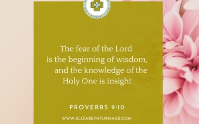 A Prayer about the Wisdom We So Desperately Need