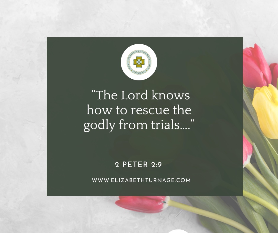 Daily Prayer Facebook Post (Landscape)) – 2 Peter 2:9 The Lord knows how to rescue the godly from trials…. 2 Peter 2:9