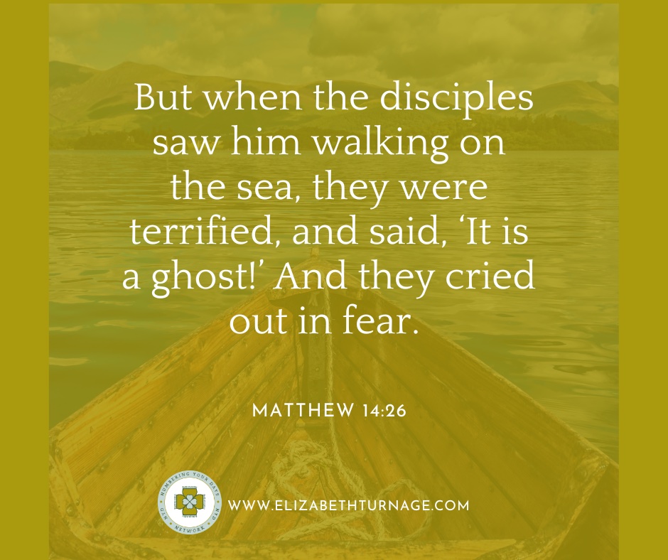 Daily Prayer Facebook Post (Landscape)) – Matthew 14:26 But when the disciples saw him walking on the sea, they were terrified, and said, ‘It is a ghost!’ And they cried out in fear. Matthew 14:26