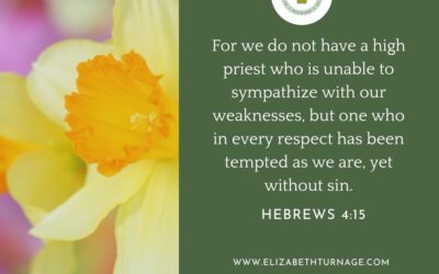 A Prayer about Jesus’ Sympathy for Us