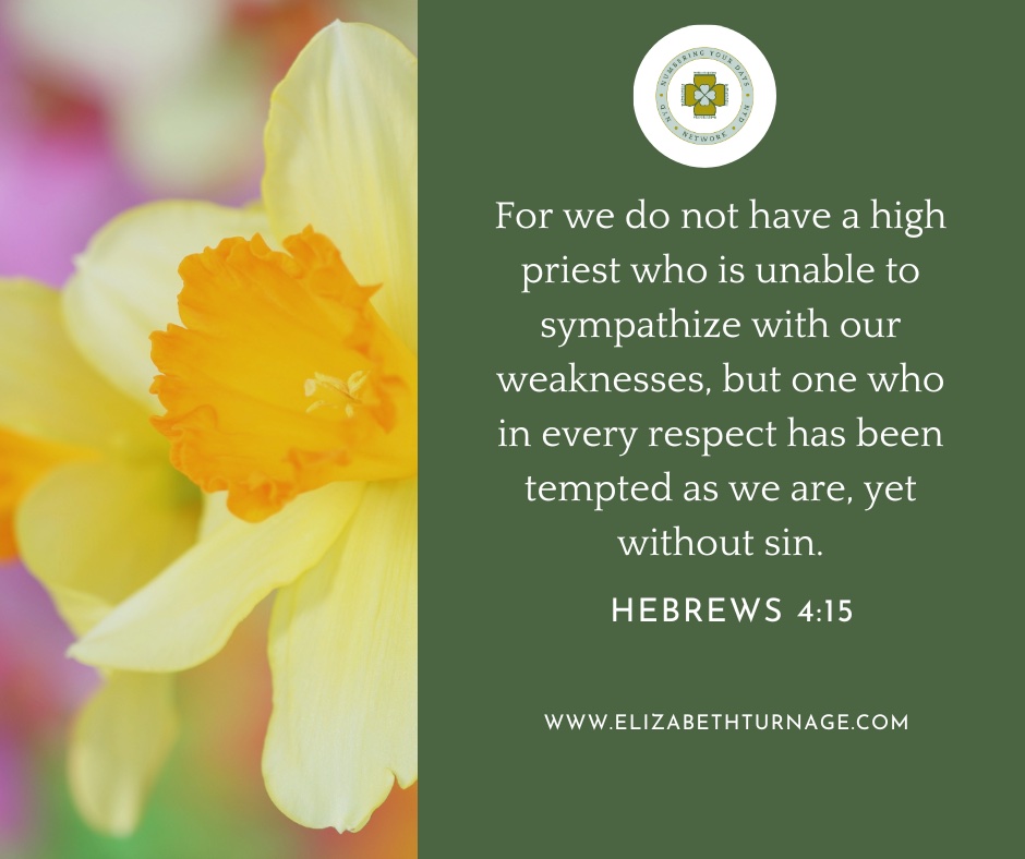 Daily Prayer Facebook Post (Landscape)) – hebrews 4:15 For we do not have a high priest who is unable to sympathize with our weaknesses, but one who in every respect has been tempted as we are, yet without sin. Hebrews 4:15