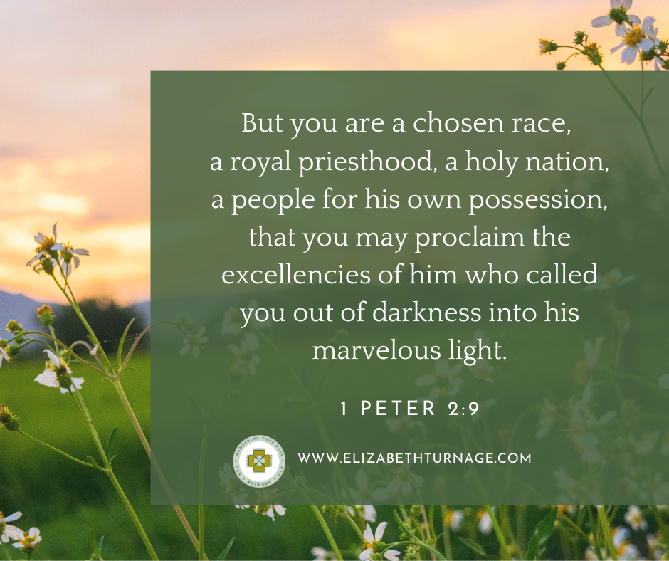 But you are a chosen race, a royal priesthood, a holy nation, a people for his own possession, that you may proclaim the excellencies of him who called you out of darkness into his marvelous light.