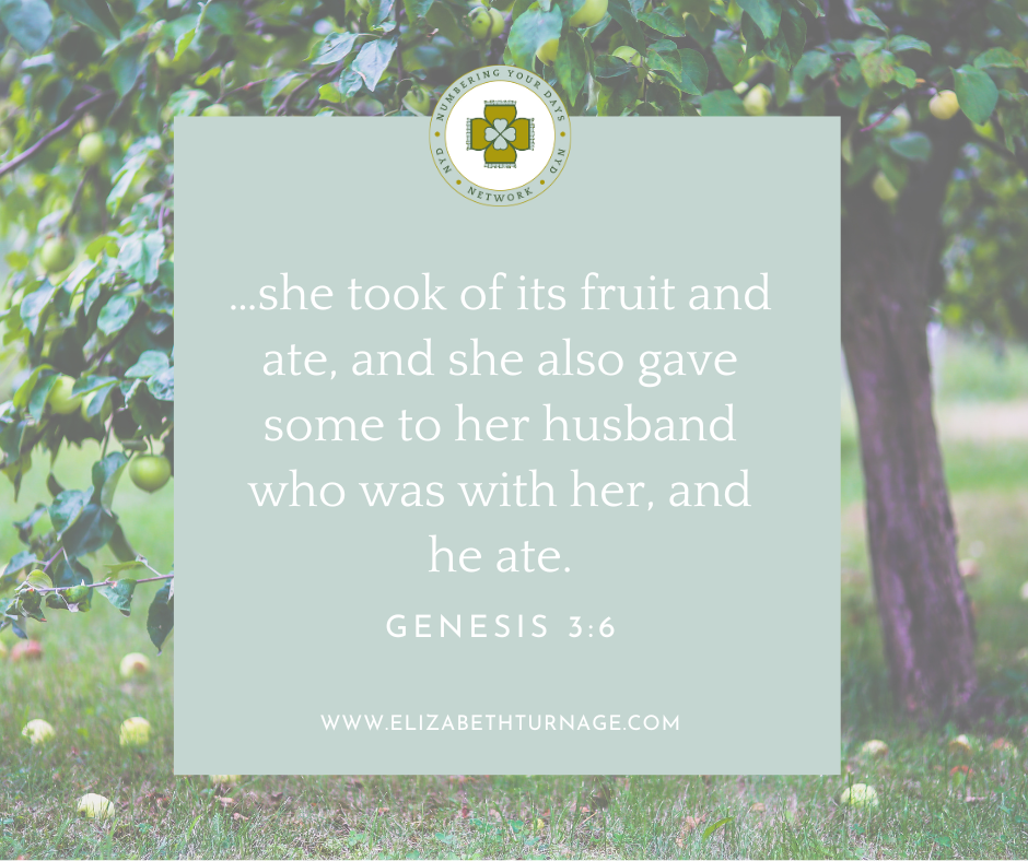 Genesis 3_6 …she took of its fruit and ate, and she also gave some to her husband who was with her, and he ate.