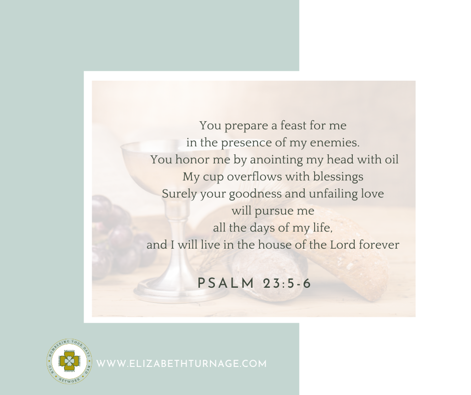 Image with words, "You prepare a table before me in the presence of my enemies."