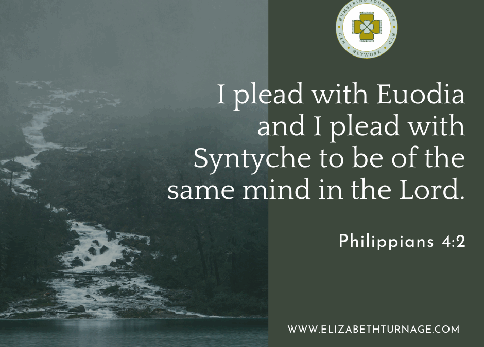 I plead with Euodia and I plead with Syntyche to be of the same mind in the Lord.