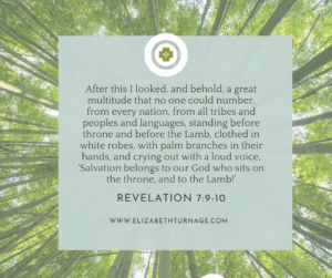 After this I looked, and behold, a great multitude that no one could number, from every nation, from all tribes and peoples and languages, standing before throne and before the Lamb, clothed in white robes, with palm branches in their hands, and crying out with a loud voice, ‘Salvation belongs to our God who sits on the throne, and to the Lamb!’ Revelation 7:9-10