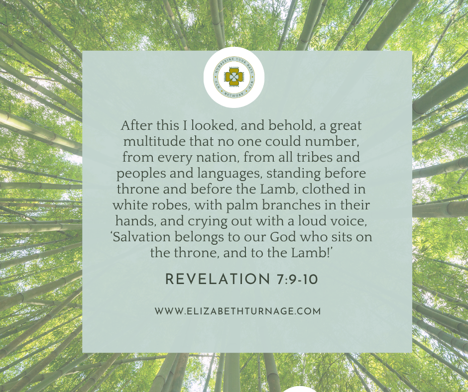 Rev 7_9-10 After this I looked, and behold, a great multitude that no one could number, from every nation, from all tribes and peoples and languages, standing before throne and before the Lamb, clothed in white robes, with palm branches in their hands, and crying out with a loud voice, ‘Salvation belongs to our God who sits on the throne, and to the Lamb!’ Revelation 7:9-10