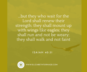 …but they who wait for the Lord shall renew their strength; they shall mount up with wings like eagles; they shall run and not be weary; they shall walk and not faint