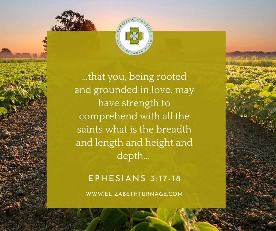 Ephesians3_17-18 …that you, being rooted and grounded in love, may have strength to comprehend with all the saints what is the breadth and length and height and depth…