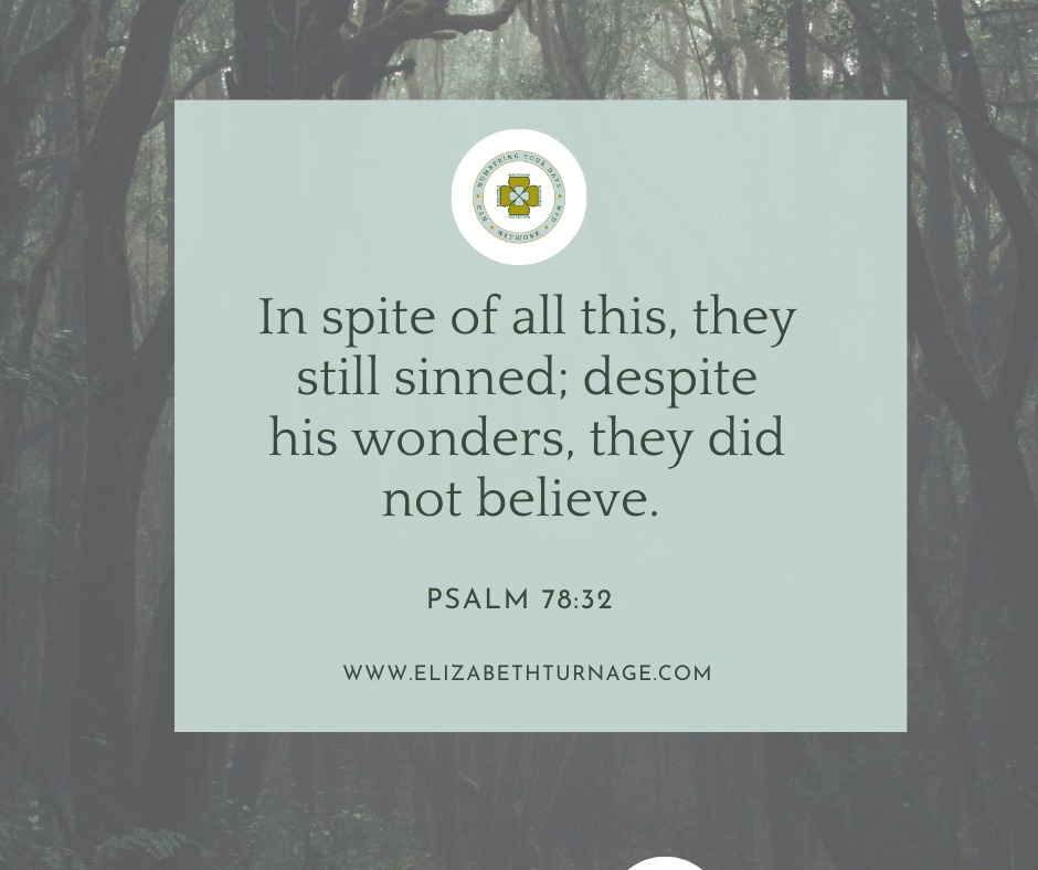 Psalm78_32 In spite of all this, they still sinned; despite his wonders, they did not believe.