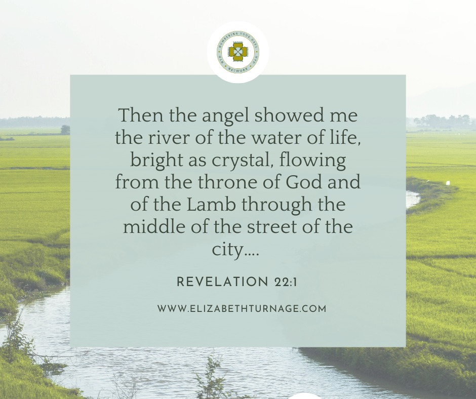 Rev22_1 Then the angel showed me the river of the water of life, bright as crystal, flowing from the throne of God and of the Lamb through the middle of the street of the city….