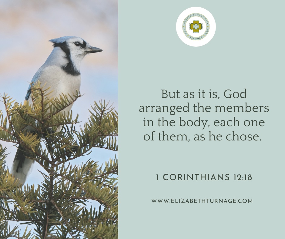 1Cor12_18 But as it is, God arranged the members in the body, each one of them, as he chose.