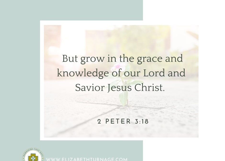 A Prayer about Continuing to Grow as We Age