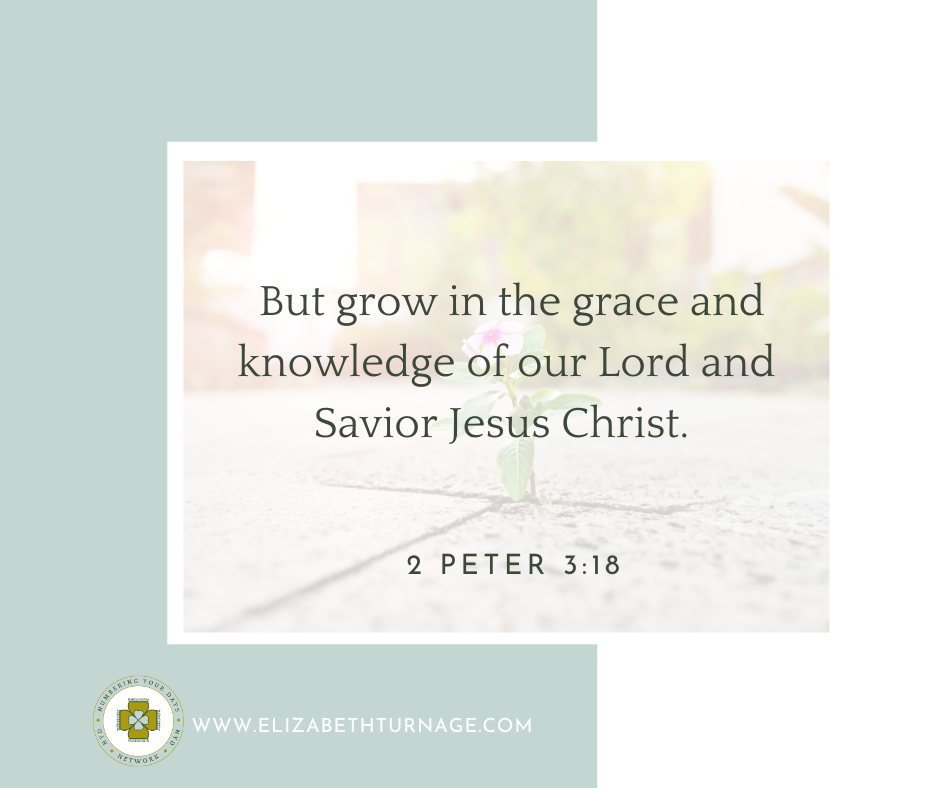 2Peter3_18 But grow in the grace and knowledge of our Lord and Savior Jesus Christ.