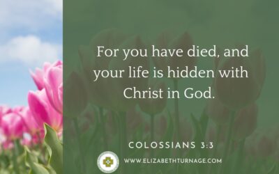 A Prayer about Being United to Christ