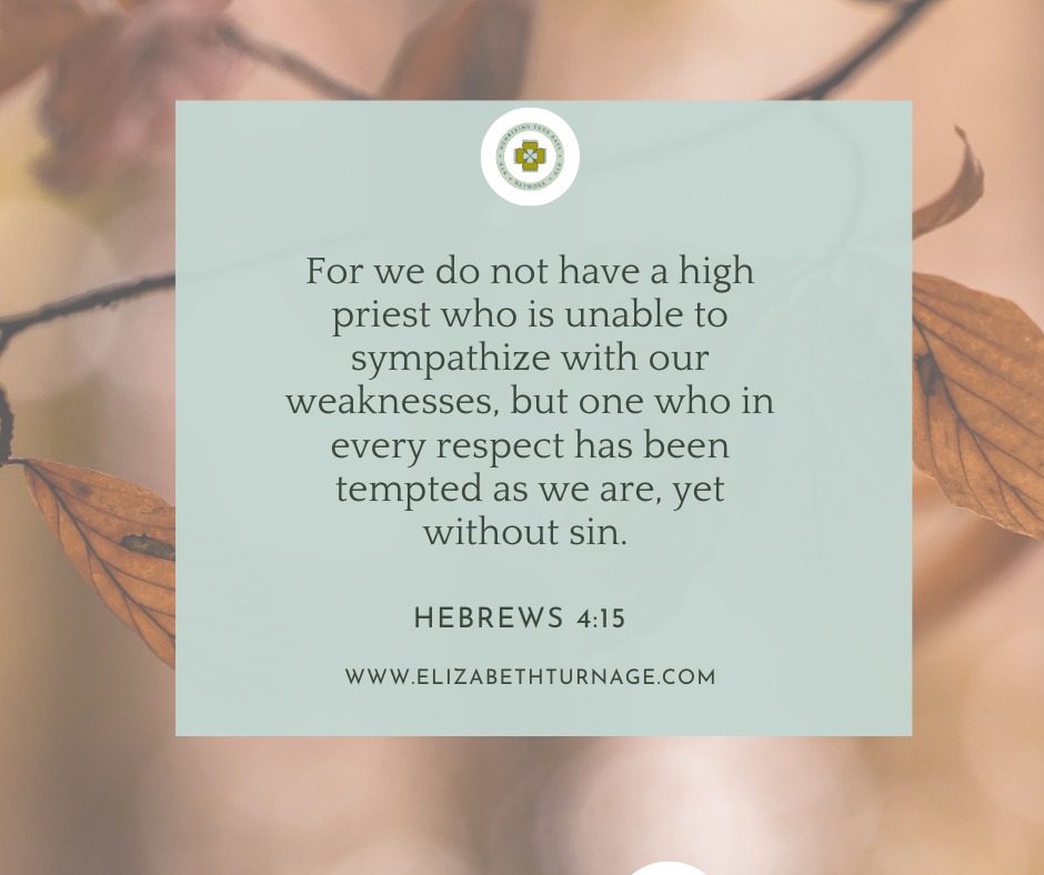 Hebrews4_15 For we do not have a high priest who is unable to sympathize with our weaknesses, but one who in every respect has been tempted as we are, yet without sin.
