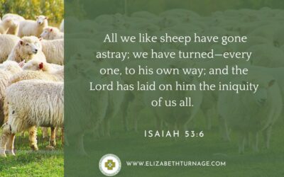 A Prayer about Being a Sheep