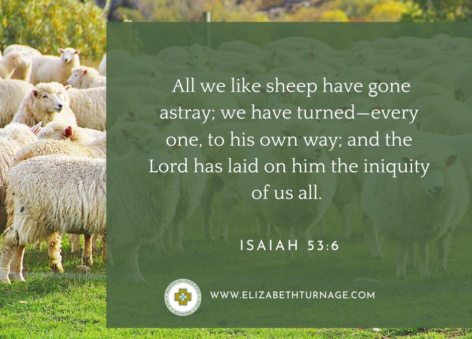 A Prayer about Being a Sheep