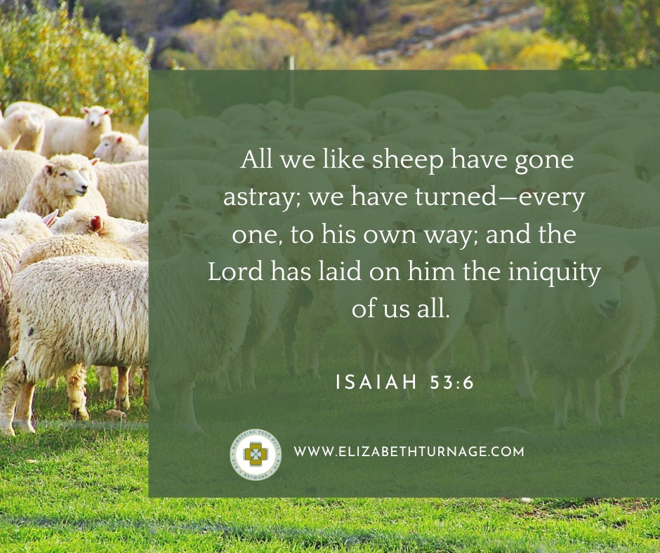 Isaiah53_6 All we like sheep have gone astray; we have turned—every one, to his own way; and the Lord has laid on him the iniquity of us all.