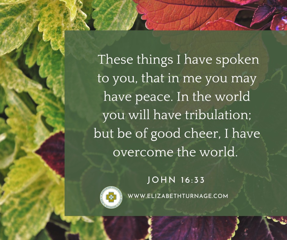 John16_33 These things I have spoken to you, that in me you may have peace. In the world you will have tribulation; but be of good cheer, I have overcome the world.