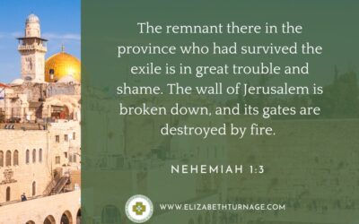 A Prayer about Great Trouble and Shame