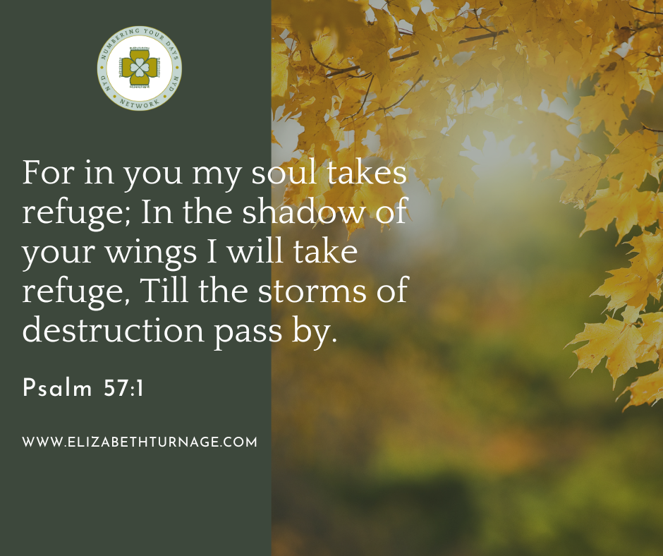 Psalm 57_1 For in you my soul takes refuge; In the shadow of your wings I will take refuge, Till the storms of destruction pass by.