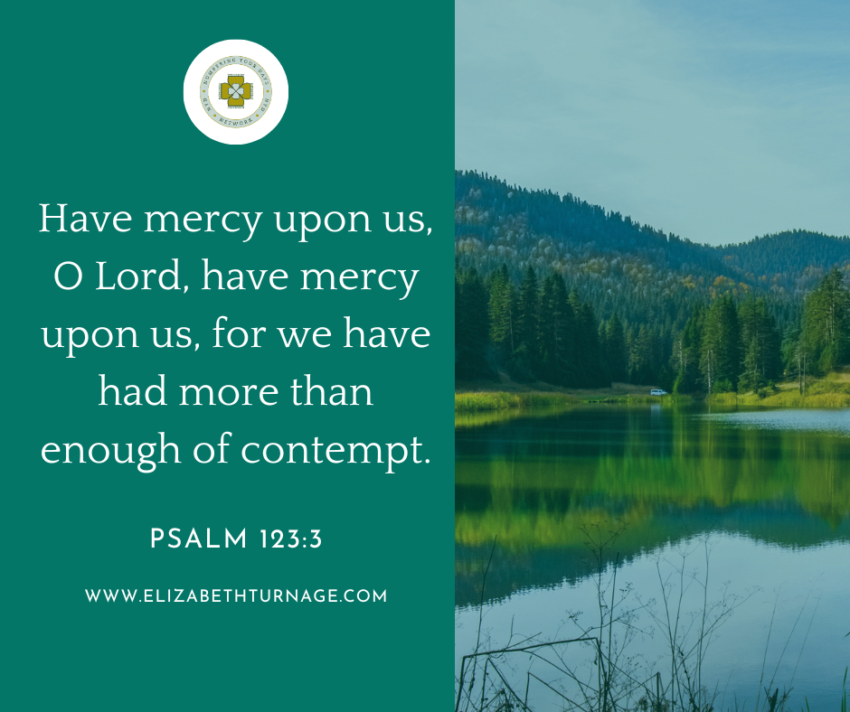 Have mercy upon us, O Lord, have mercy upon us, for we have had more than enough of contempt.