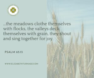 “…the meadows clothe themselves with flocks, the valleys deck themselves with grain, they shout and sing together for joy.”