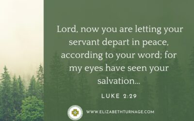 A Prayer about Seeing Our Salvation