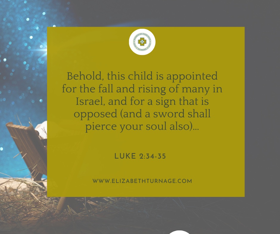 Behold, this child is appointed for the fall and rising of many in Israel, and for a sign that is opposed (and a sword shall pierce your soul also)