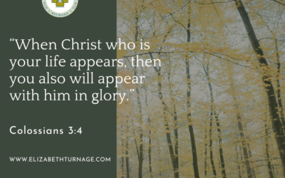 A Prayer about Christ Our Life